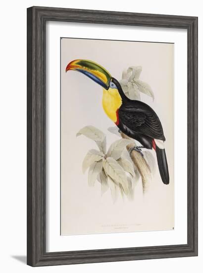 A Monograph of the Ramphastidae, or Family of Toucans, First Edition, Published 1834-John Gould-Framed Giclee Print