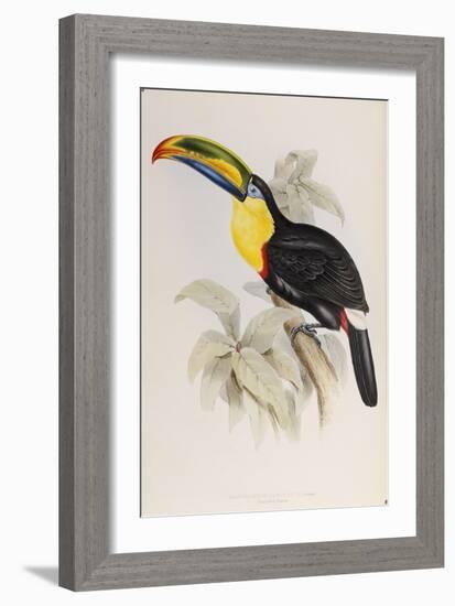 A Monograph of the Ramphastidae, or Family of Toucans, First Edition, Published 1834-John Gould-Framed Giclee Print