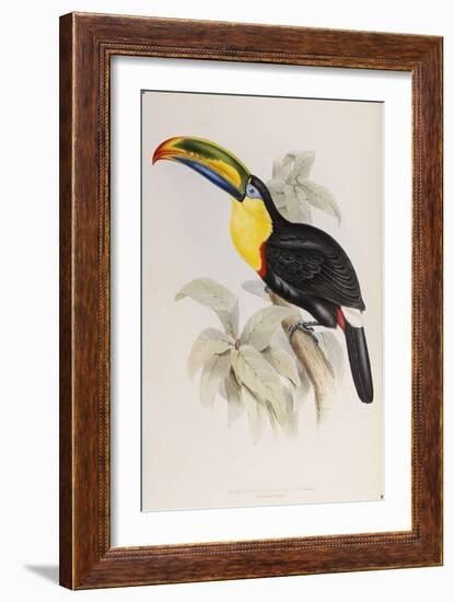 A Monograph of the Ramphastidae, or Family of Toucans, First Edition, Published 1834-John Gould-Framed Giclee Print