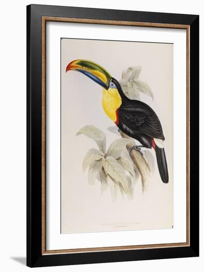 A Monograph of the Ramphastidae, or Family of Toucans, First Edition, Published 1834-John Gould-Framed Giclee Print