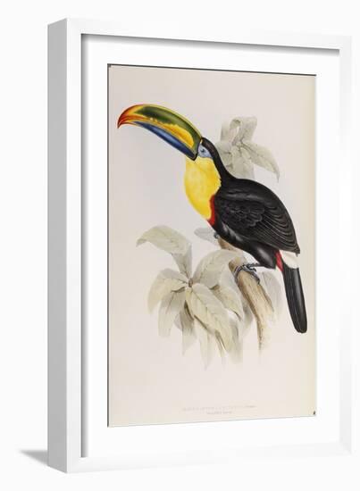 A Monograph of the Ramphastidae, or Family of Toucans, First Edition, Published 1834-John Gould-Framed Giclee Print