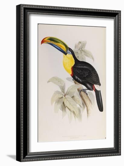 A Monograph of the Ramphastidae, or Family of Toucans, First Edition, Published 1834-John Gould-Framed Giclee Print