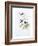 A Monograph of the Trochilidae or Family of Hummingbirds, Published 1849-1861-John Gould-Framed Giclee Print