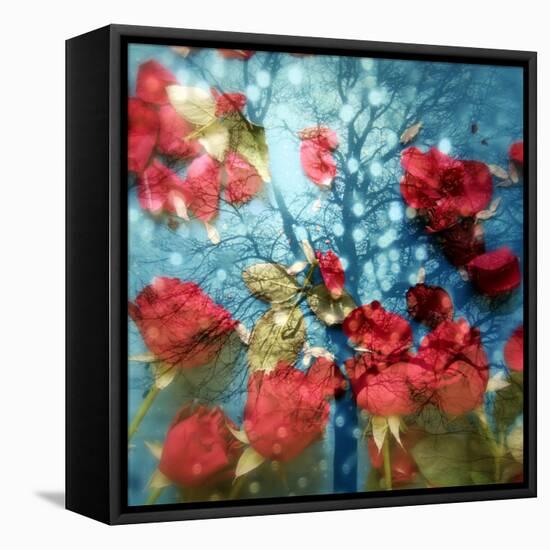 A Montage of a Tree and Red Rose Petals in Sparkling Light and Reflections-Alaya Gadeh-Framed Premier Image Canvas