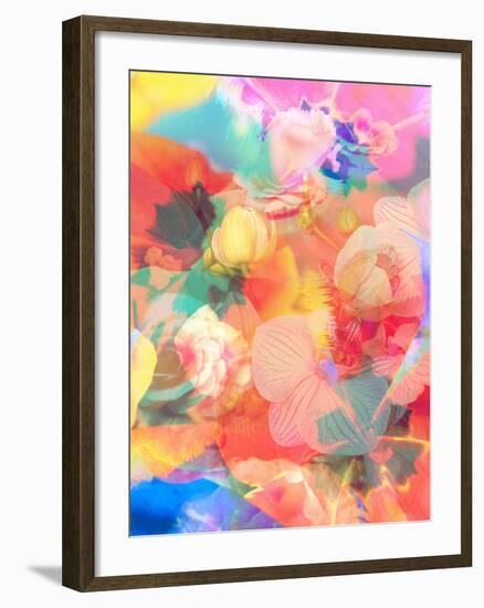 A Montage of Colorful Flowers and Petals-Alaya Gadeh-Framed Photographic Print