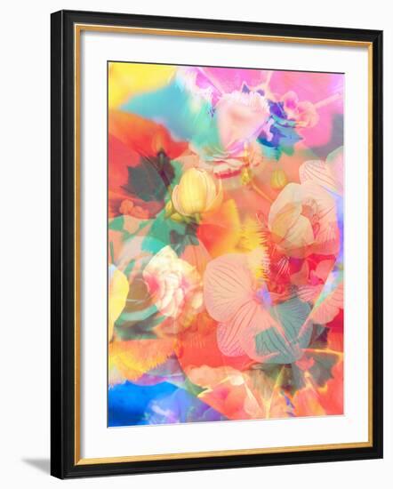 A Montage of Colorful Flowers and Petals-Alaya Gadeh-Framed Photographic Print