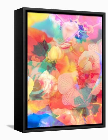 A Montage of Colorful Flowers and Petals-Alaya Gadeh-Framed Premier Image Canvas