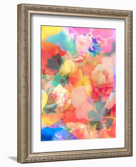 A Montage of Colorful Flowers and Petals-Alaya Gadeh-Framed Photographic Print