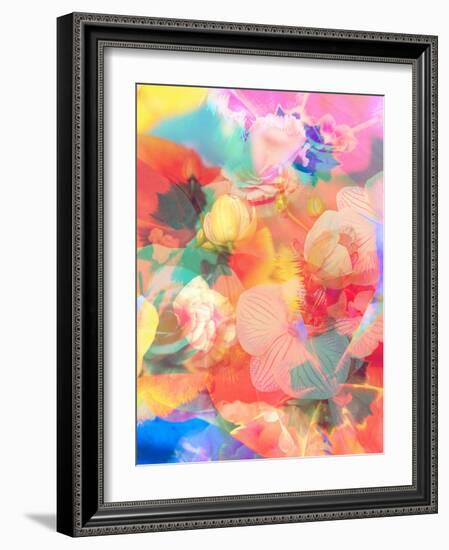 A Montage of Colorful Flowers and Petals-Alaya Gadeh-Framed Photographic Print