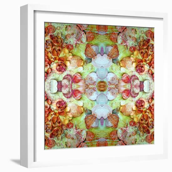 A Montage of Flowers and Seashells Turned into a Mandala-Alaya Gadeh-Framed Photographic Print