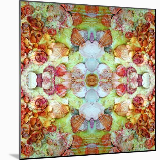 A Montage of Flowers and Seashells Turned into a Mandala-Alaya Gadeh-Mounted Photographic Print