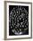 A Montage of Portraits Showing Teachers at the St. Petersburg Conservatoire, Russia's Oldest…-null-Framed Photographic Print