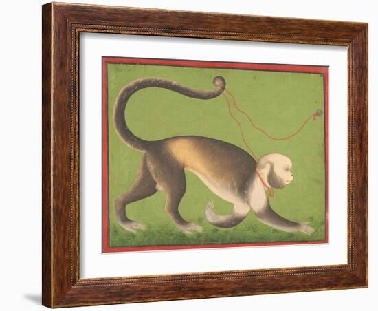 A Monumental Portrait of a Monkey Attributed to the Stipple Master-null-Framed Giclee Print