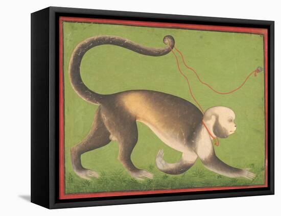 A Monumental Portrait of a Monkey Attributed to the Stipple Master-null-Framed Premier Image Canvas