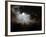 A Moon Night-Ryuji Adachi-Framed Photographic Print