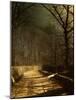 A Moonlit Lane, with Two Lovers by a Gate-John Atkinson Grimshaw-Mounted Giclee Print