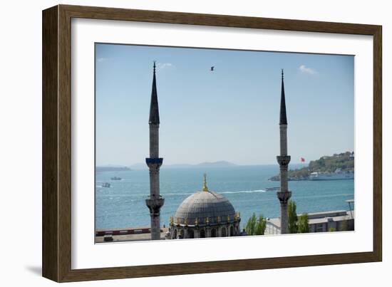 A Mosque in Istanbul of Turkey-null-Framed Photo