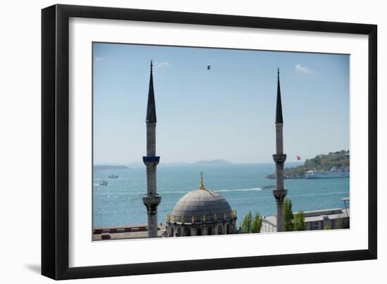 A Mosque in Istanbul of Turkey-null-Framed Photo