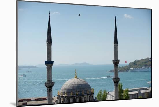 A Mosque in Istanbul of Turkey-null-Mounted Photo