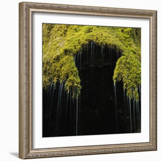 A Moss Covered Waterfall in the Bavarian Allg?U-Micha Pawlitzki-Framed Photographic Print