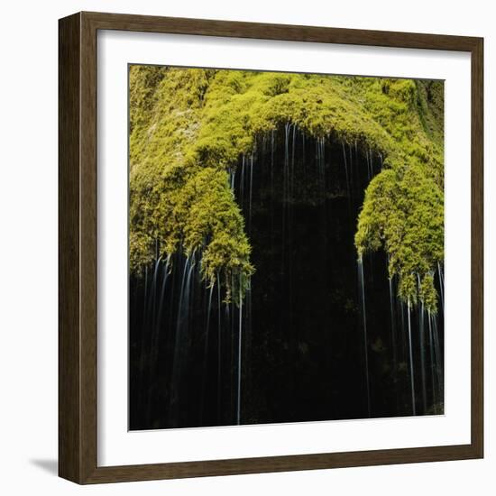 A Moss Covered Waterfall in the Bavarian Allg?U-Micha Pawlitzki-Framed Photographic Print