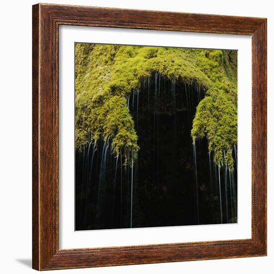 A Moss Covered Waterfall in the Bavarian Allg?U-Micha Pawlitzki-Framed Photographic Print