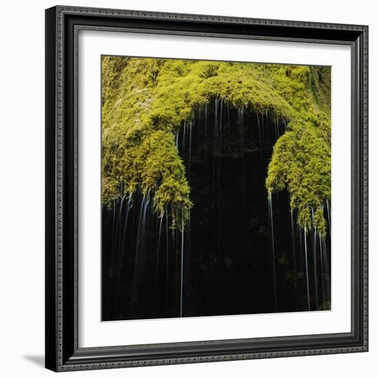 A Moss Covered Waterfall in the Bavarian Allg?U-Micha Pawlitzki-Framed Photographic Print