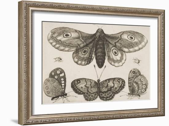 A Moth, Three Butterflies, and Two Beetles-Wenceslaus Hollar-Framed Giclee Print