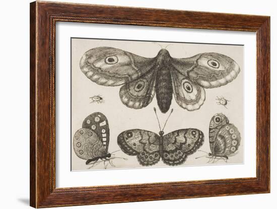 A Moth, Three Butterflies, and Two Beetles-Wenceslaus Hollar-Framed Giclee Print