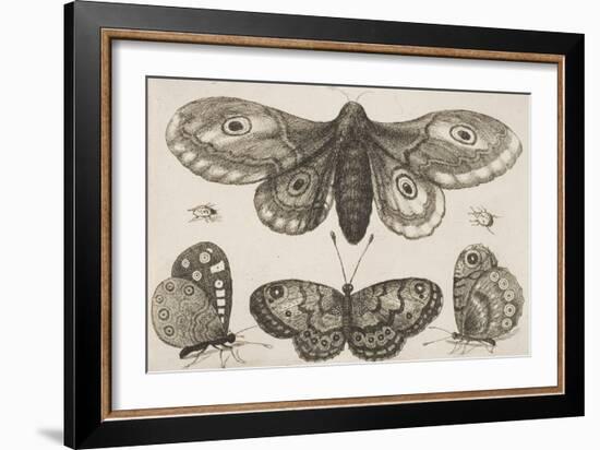 A Moth, Three Butterflies, and Two Beetles-Wenceslaus Hollar-Framed Giclee Print