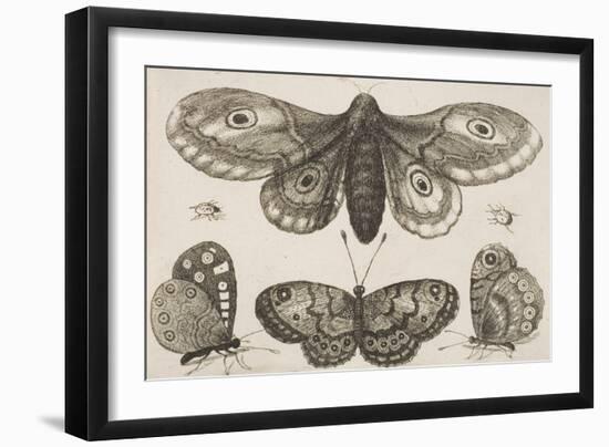 A Moth, Three Butterflies, and Two Beetles-Wenceslaus Hollar-Framed Giclee Print