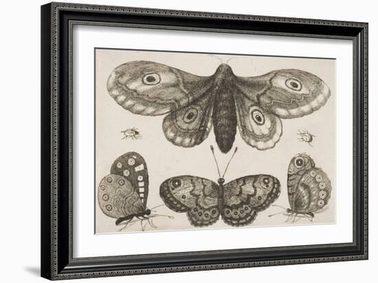 A Moth, Three Butterflies, and Two Beetles-Wenceslaus Hollar-Framed Giclee Print