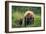 A Mother’s Love (Brown Bear and Cubs)-Art Wolfe-Framed Giclee Print