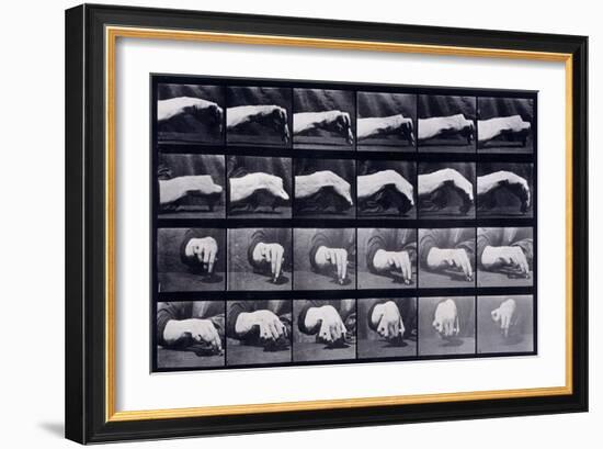 A Motion Study of a Hand, C.1872-1885-Eadweard Muybridge-Framed Giclee Print