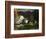 A Mountain Farm, 1920-George Wesley Bellows-Framed Giclee Print