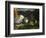 A Mountain Farm, 1920-George Wesley Bellows-Framed Giclee Print