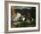 A Mountain Farm, 1920-George Wesley Bellows-Framed Giclee Print