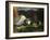 A Mountain Farm, 1920-George Wesley Bellows-Framed Giclee Print