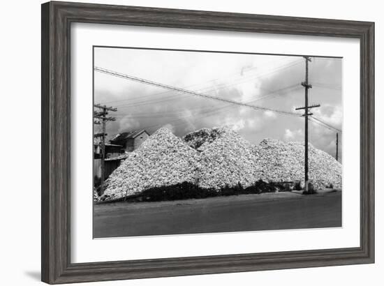 A Mountain of Oyster Shells View - South Bend, WA-Lantern Press-Framed Art Print