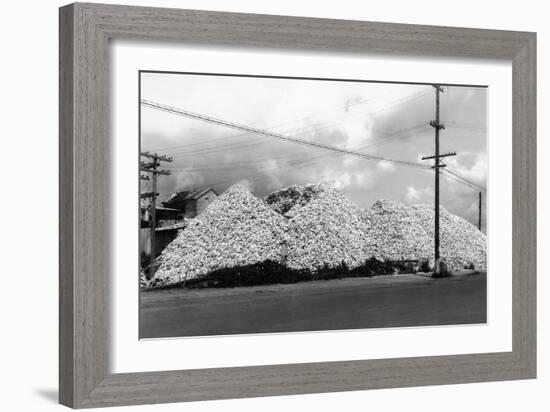 A Mountain of Oyster Shells View - South Bend, WA-Lantern Press-Framed Art Print