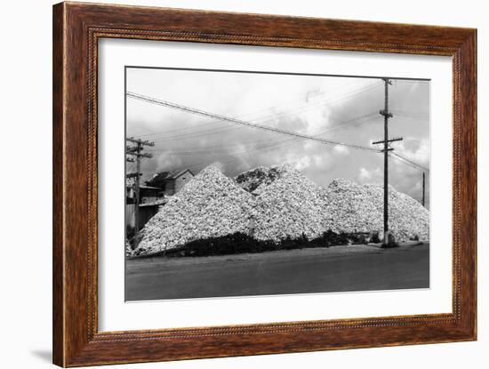 A Mountain of Oyster Shells View - South Bend, WA-Lantern Press-Framed Art Print