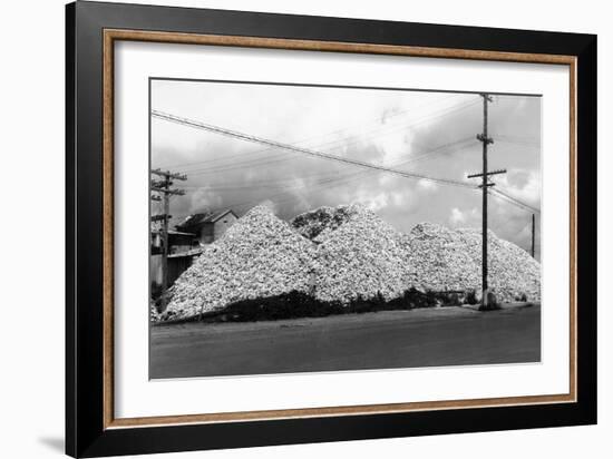 A Mountain of Oyster Shells View - South Bend, WA-Lantern Press-Framed Art Print