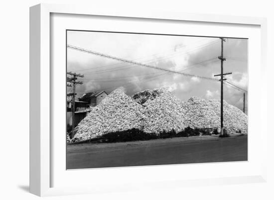 A Mountain of Oyster Shells View - South Bend, WA-Lantern Press-Framed Art Print