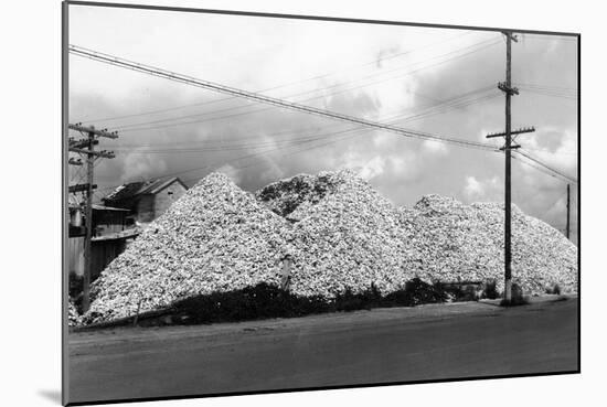 A Mountain of Oyster Shells View - South Bend, WA-Lantern Press-Mounted Art Print