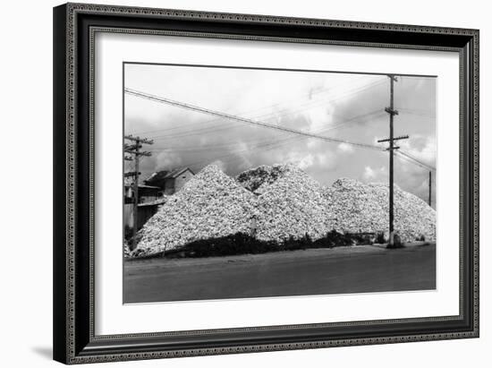 A Mountain of Oyster Shells View - South Bend, WA-Lantern Press-Framed Art Print