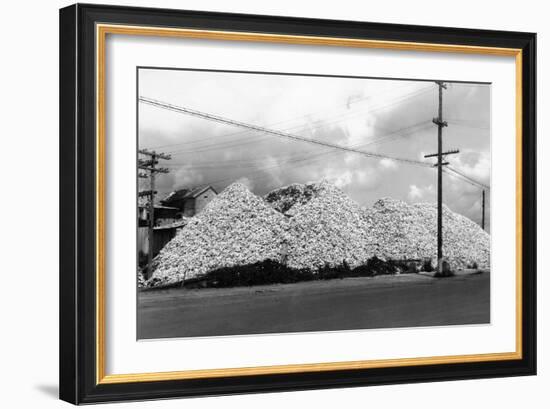 A Mountain of Oyster Shells View - South Bend, WA-Lantern Press-Framed Art Print