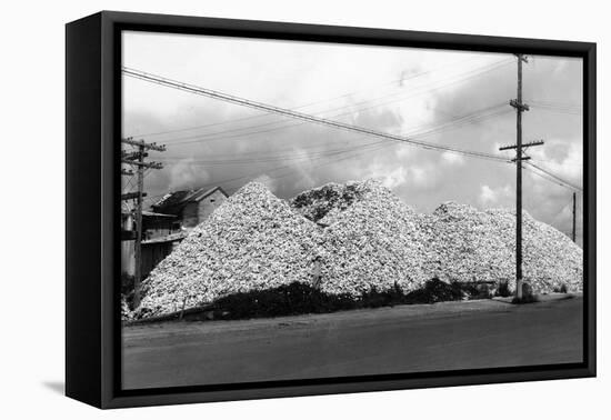 A Mountain of Oyster Shells View - South Bend, WA-Lantern Press-Framed Stretched Canvas