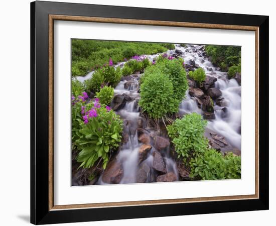 A Mountain Stream Within the Indian Peaks Wilderness Area Near Rocky Mountain National Park, Co-Ryan Wright-Framed Photographic Print