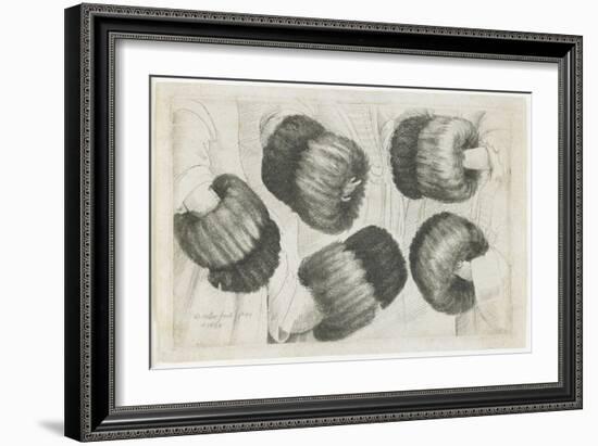 A Muff in Five Views, 1645-1646-Wenceslaus Hollar-Framed Giclee Print