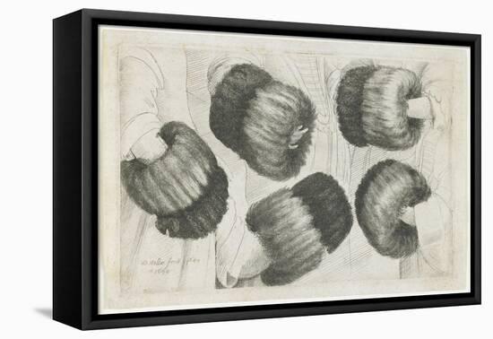 A Muff in Five Views, 1645-1646-Wenceslaus Hollar-Framed Premier Image Canvas
